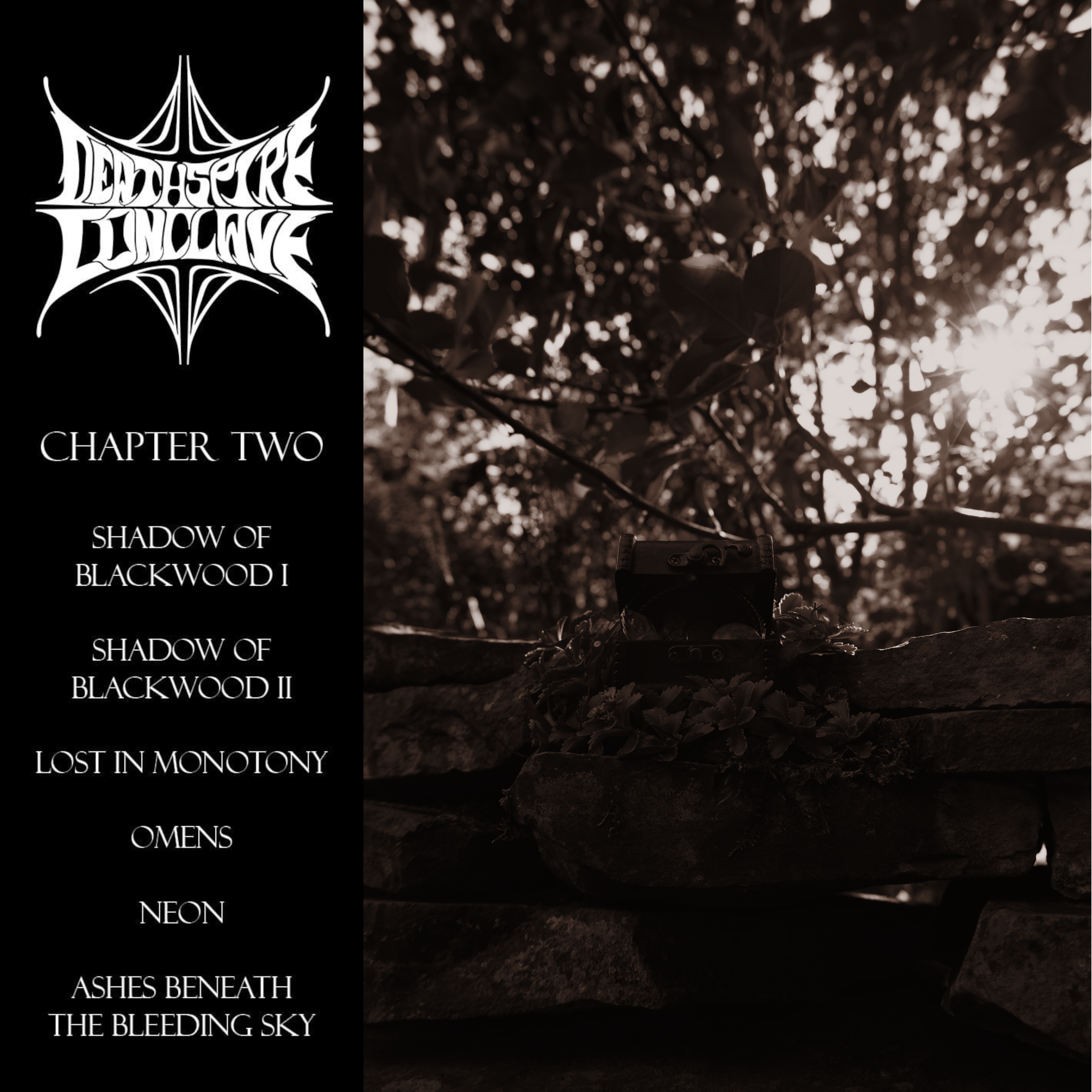 Chapter Two Cover